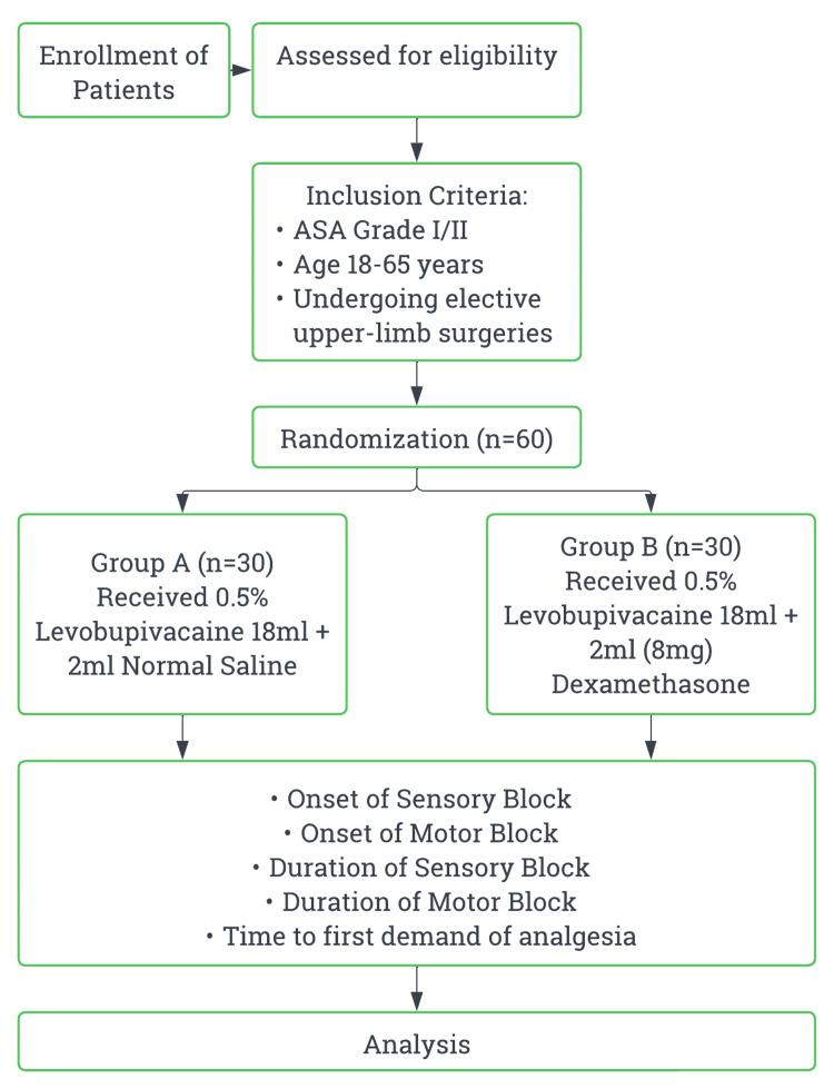 https://cdn.ncbi.nlm.nih.gov/pmc/blobs/1311/12049162/af703bf197d1/cureus-0017-00000081658-i01.jpg