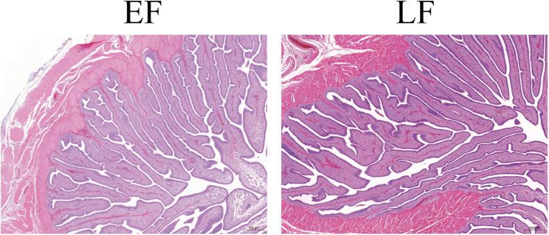 https://cdn.ncbi.nlm.nih.gov/pmc/blobs/1316/11758209/a3418d403719/gr5.jpg
