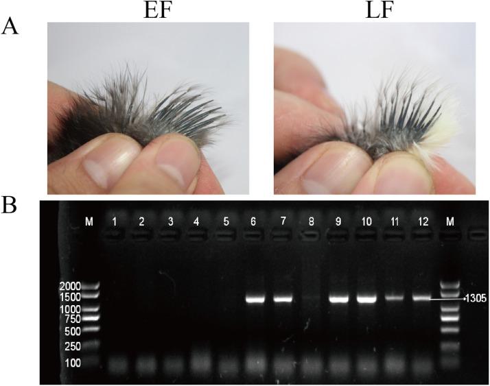 https://cdn.ncbi.nlm.nih.gov/pmc/blobs/1316/11758209/cb3c07b2c074/gr1.jpg