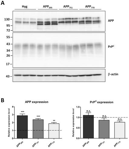 https://cdn.ncbi.nlm.nih.gov/pmc/blobs/1316/3283671/01792f0d22e8/pone.0031754.g001.jpg
