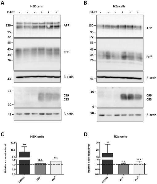 https://cdn.ncbi.nlm.nih.gov/pmc/blobs/1316/3283671/70fabae11755/pone.0031754.g005.jpg
