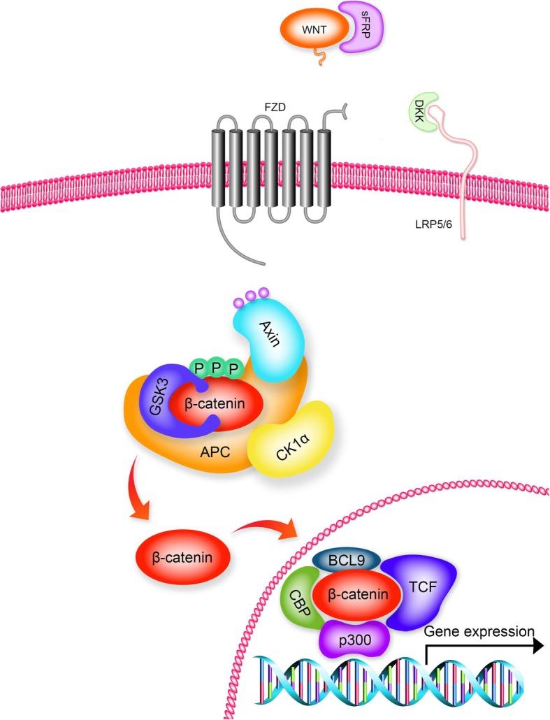 https://cdn.ncbi.nlm.nih.gov/pmc/blobs/1317/6637598/a849c41ab9a8/12885_2019_5916_Fig2_HTML.jpg