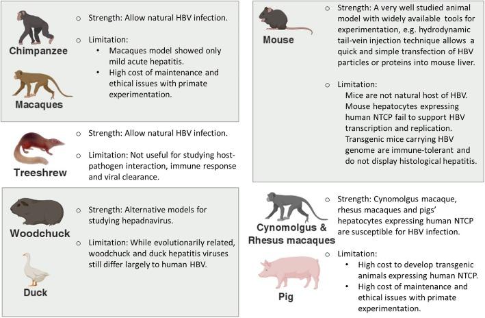 https://cdn.ncbi.nlm.nih.gov/pmc/blobs/1317/6637598/c51e15f9f1aa/12885_2019_5916_Fig5_HTML.jpg