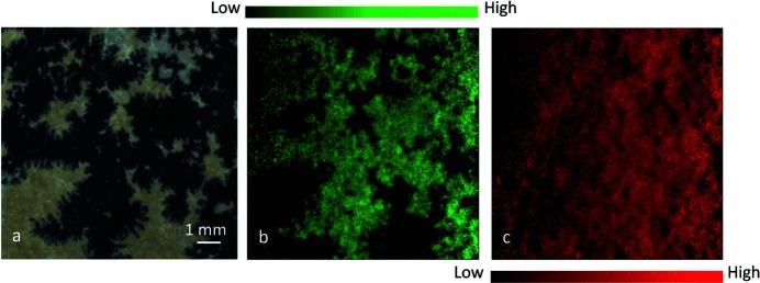 https://cdn.ncbi.nlm.nih.gov/pmc/blobs/1318/10161892/4cb73611bbe9/s-30-00655-fig4.jpg
