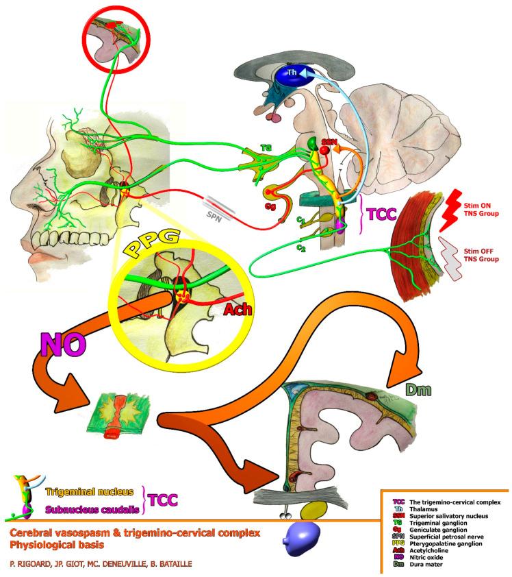 https://cdn.ncbi.nlm.nih.gov/pmc/blobs/1318/10218463/ca9dbf492c7f/ijerph-20-05836-g001.jpg