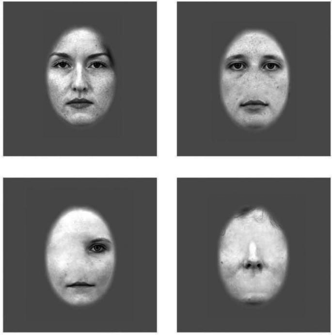 https://cdn.ncbi.nlm.nih.gov/pmc/blobs/1318/12172756/3458fe043bf1/gr2.jpg