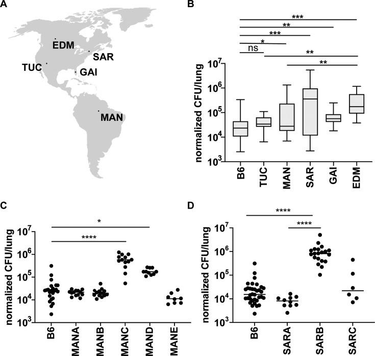 https://cdn.ncbi.nlm.nih.gov/pmc/blobs/1318/12431774/06b35bbbcefe/elife-102441-fig1.jpg