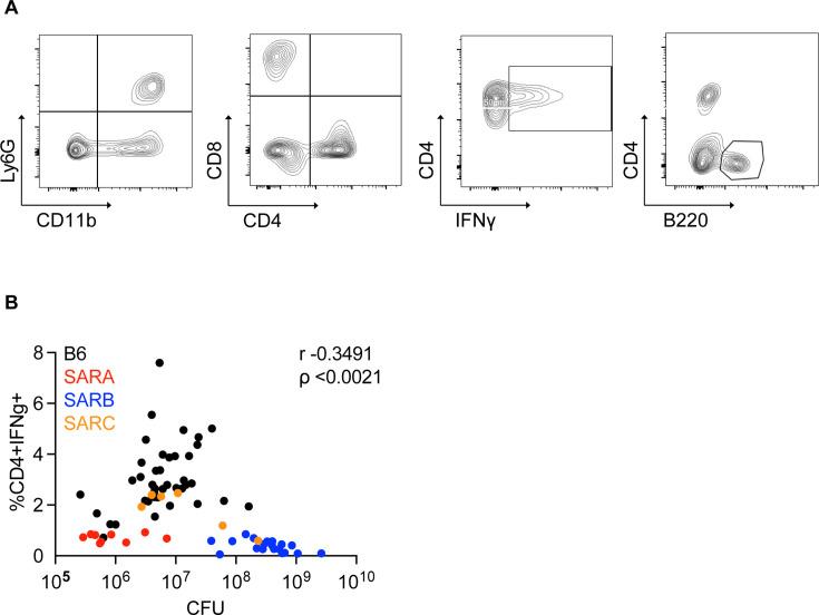 https://cdn.ncbi.nlm.nih.gov/pmc/blobs/1318/12431774/5565f5f620dd/elife-102441-fig2-figsupp2.jpg