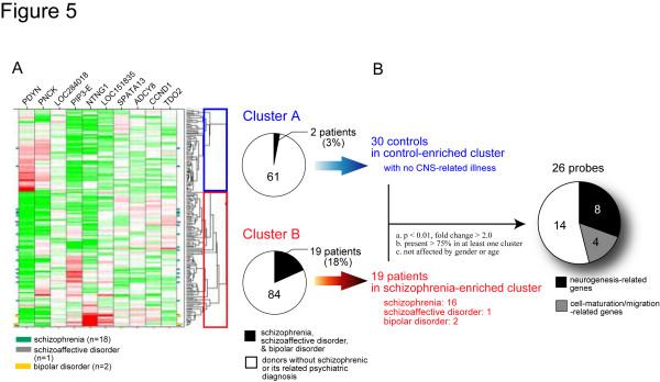 https://cdn.ncbi.nlm.nih.gov/pmc/blobs/1318/2562999/abf3e4ea5ac8/1756-6606-1-6-5.jpg