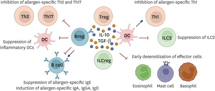 https://cdn.ncbi.nlm.nih.gov/pmc/blobs/1319/9669467/999839450006/apa-12-e45-g001.jpg