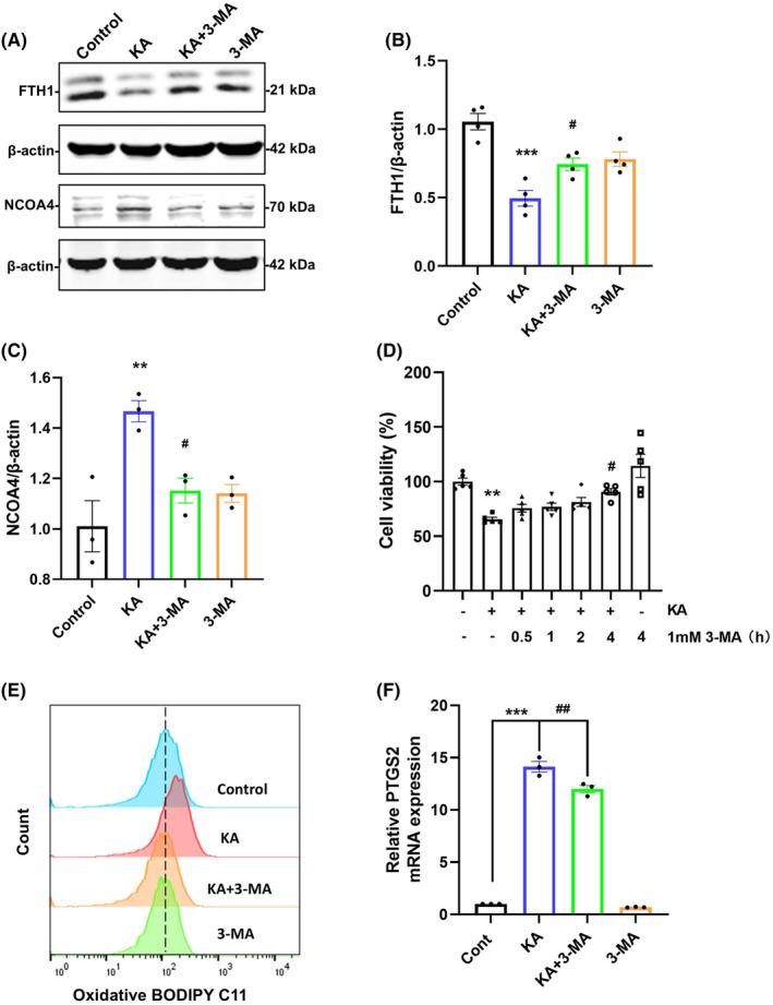 https://cdn.ncbi.nlm.nih.gov/pmc/blobs/131a/11416743/cf1682cb9881/CNS-30-e70054-g003.jpg