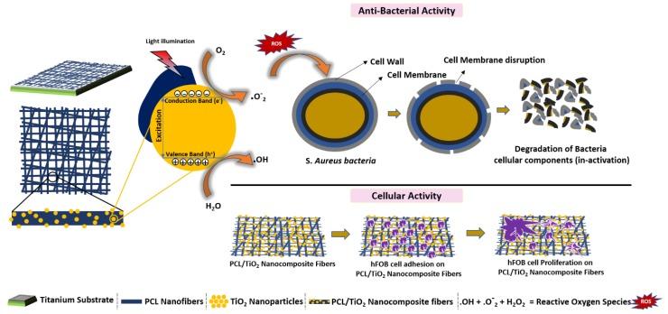 https://cdn.ncbi.nlm.nih.gov/pmc/blobs/131c/6215281/2d010d9e2e3c/nanomaterials-08-00860-g008.jpg