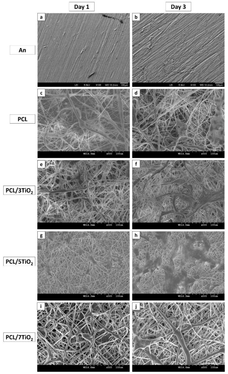 https://cdn.ncbi.nlm.nih.gov/pmc/blobs/131c/6215281/aeacdce9827e/nanomaterials-08-00860-g006.jpg