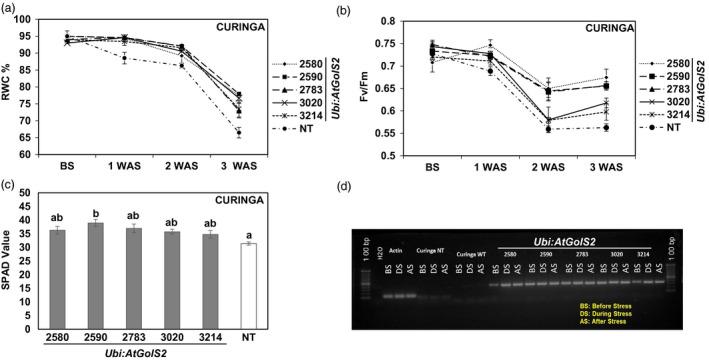 https://cdn.ncbi.nlm.nih.gov/pmc/blobs/1320/11388810/8c7df8dfd8db/PBI-15-1465-g001.jpg