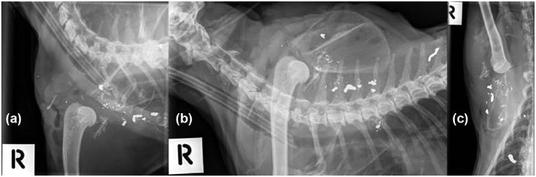 https://cdn.ncbi.nlm.nih.gov/pmc/blobs/1321/5371207/915b26c324ca/10.1177_2055116915613816-fig4.jpg