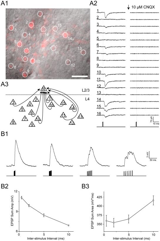 https://cdn.ncbi.nlm.nih.gov/pmc/blobs/1322/3235127/53f1a82bdd58/pone.0028468.g004.jpg