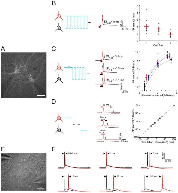 https://cdn.ncbi.nlm.nih.gov/pmc/blobs/1322/3235127/81f9f948f380/pone.0028468.g003.jpg