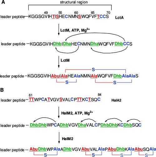 https://cdn.ncbi.nlm.nih.gov/pmc/blobs/1323/2767123/d25b33fe6e11/ja-2009-033507_0005.jpg