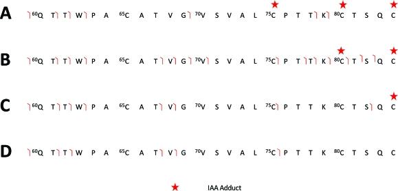 https://cdn.ncbi.nlm.nih.gov/pmc/blobs/1323/2767123/f2940373f2bd/ja-2009-033507_0002.jpg
