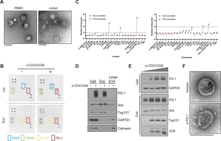 https://cdn.ncbi.nlm.nih.gov/pmc/blobs/1326/8342306/7863dafd5715/41388_2021_1896_Fig1_HTML.jpg