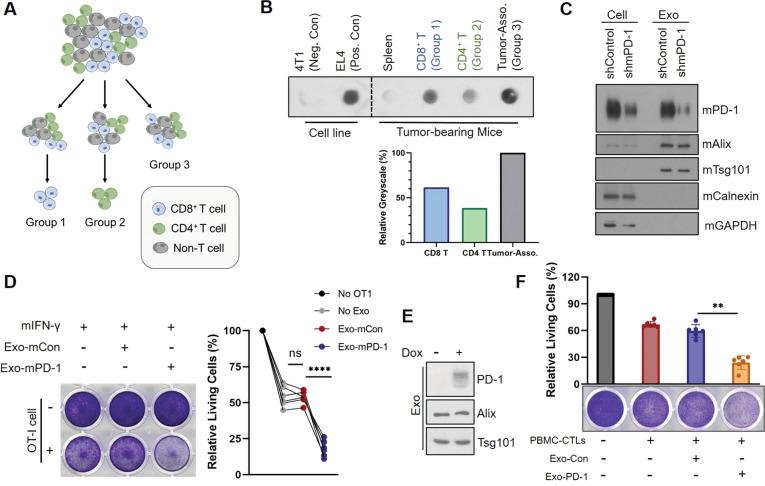 https://cdn.ncbi.nlm.nih.gov/pmc/blobs/1326/8342306/9ba23099c1e4/41388_2021_1896_Fig2_HTML.jpg
