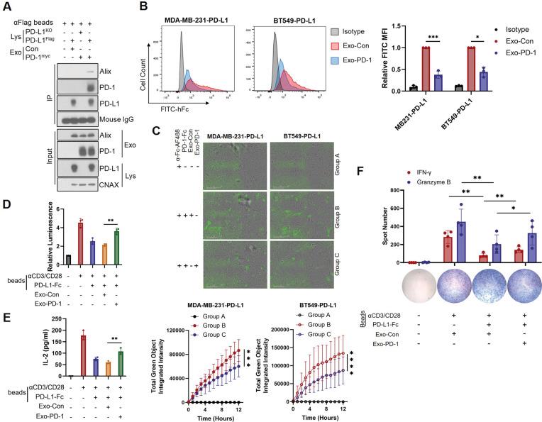https://cdn.ncbi.nlm.nih.gov/pmc/blobs/1326/8342306/b4539fdd242e/41388_2021_1896_Fig3_HTML.jpg