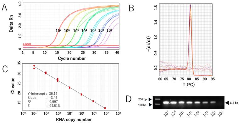 https://cdn.ncbi.nlm.nih.gov/pmc/blobs/132b/12390660/7c0518d7dedb/viruses-17-01130-g002.jpg