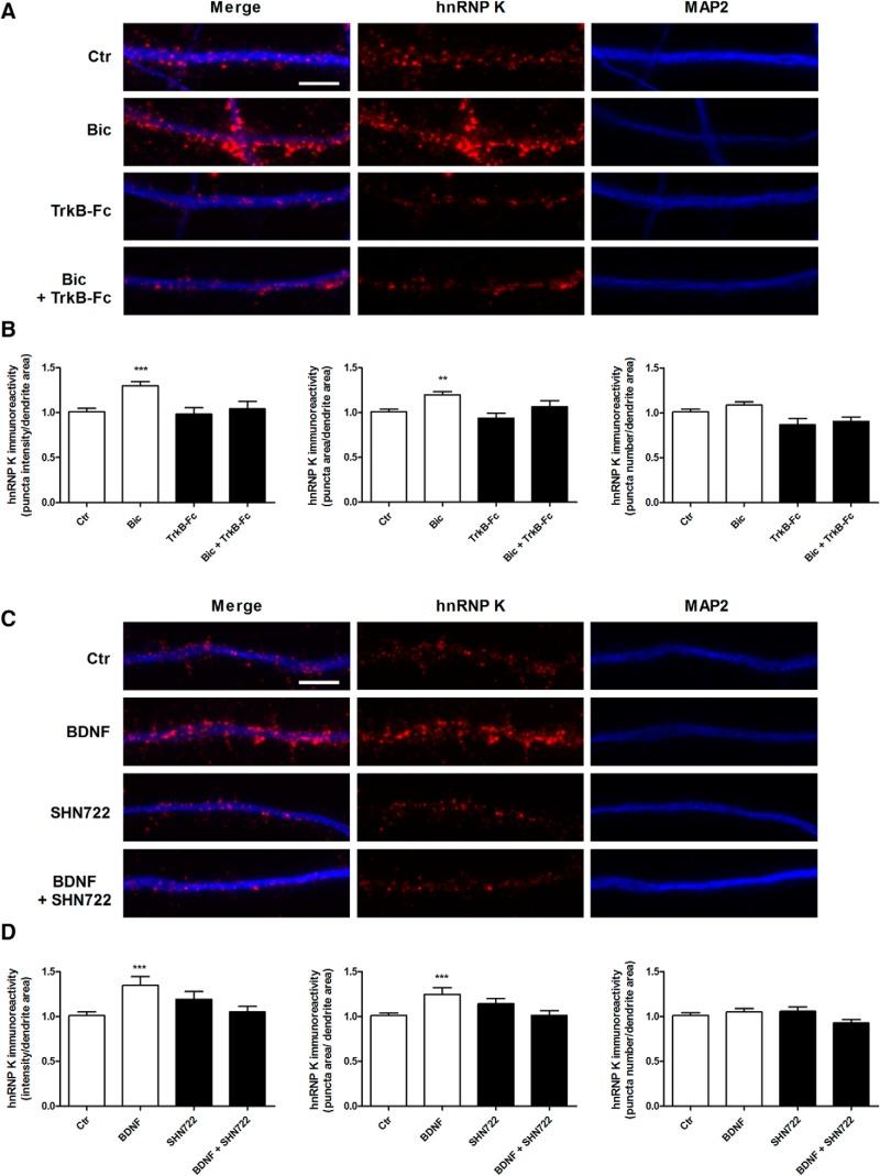 https://cdn.ncbi.nlm.nih.gov/pmc/blobs/132b/5732018/5ac9c343c549/enu0061724670001.jpg
