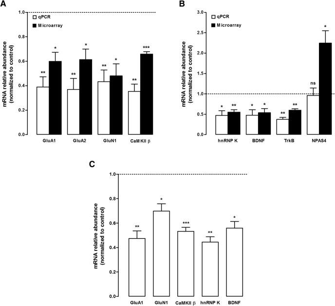 https://cdn.ncbi.nlm.nih.gov/pmc/blobs/132b/5732018/7a0f191d169e/enu0061724670003.jpg