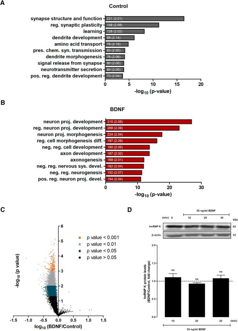 https://cdn.ncbi.nlm.nih.gov/pmc/blobs/132b/5732018/b602fc7a9603/enu0061724670002.jpg