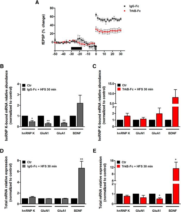 https://cdn.ncbi.nlm.nih.gov/pmc/blobs/132b/5732018/c3c7edcb7710/enu0061724670006.jpg