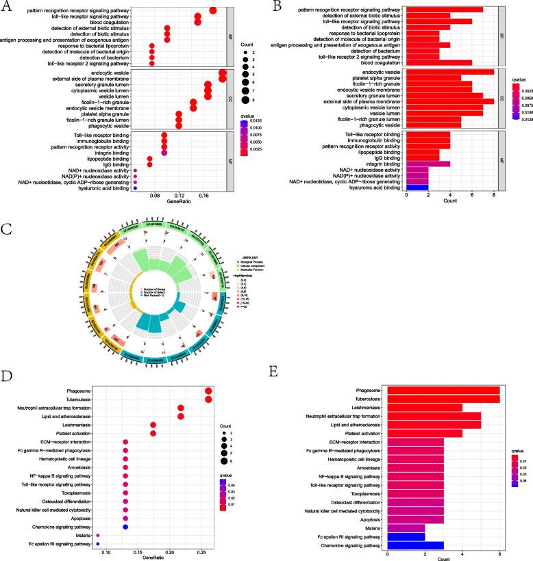 https://cdn.ncbi.nlm.nih.gov/pmc/blobs/132c/11103847/cbf537b39252/12920_2024_1906_Fig3_HTML.jpg