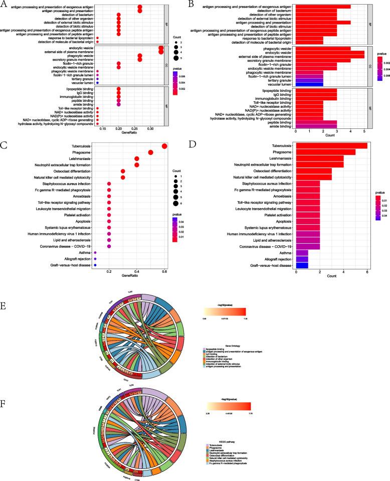 https://cdn.ncbi.nlm.nih.gov/pmc/blobs/132c/11103847/dd705e7fde40/12920_2024_1906_Fig5_HTML.jpg