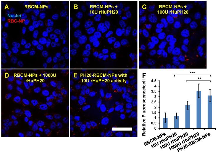 https://cdn.ncbi.nlm.nih.gov/pmc/blobs/132c/4876625/8f96bb443ef3/thnov06p1012g004.jpg
