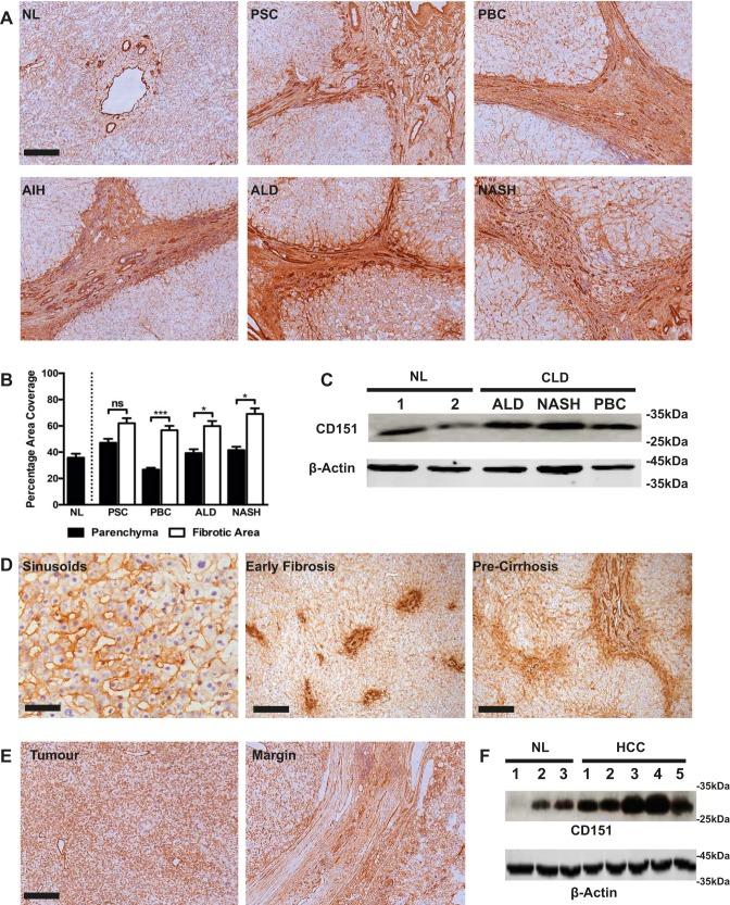 https://cdn.ncbi.nlm.nih.gov/pmc/blobs/132c/5582880/64738b05afe6/zh30071773180001.jpg