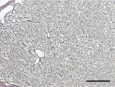 https://cdn.ncbi.nlm.nih.gov/pmc/blobs/132d/3234608/85709d2f56c8/tox-24-125-g003.jpg