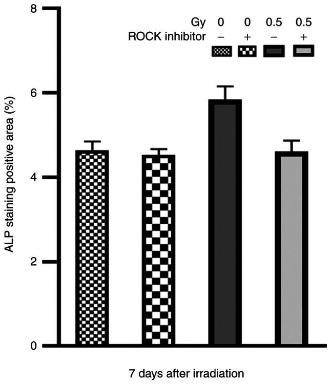 https://cdn.ncbi.nlm.nih.gov/pmc/blobs/132d/7986016/5d312f16229b/mmr-23-05-12018-g06.jpg