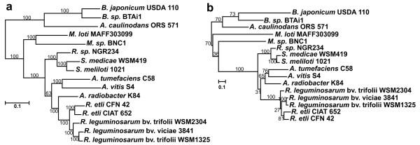 https://cdn.ncbi.nlm.nih.gov/pmc/blobs/1331/3082293/f9a1149f6a36/1471-2180-11-66-2.jpg