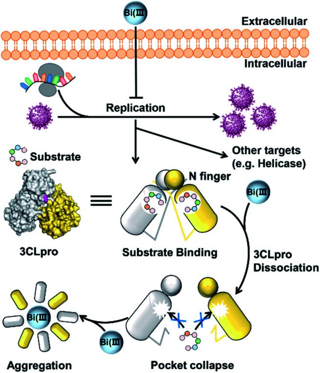 https://cdn.ncbi.nlm.nih.gov/pmc/blobs/1331/8565384/7426c578152e/d1sc03526f-f5.jpg