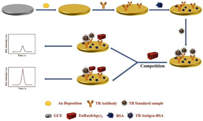 https://cdn.ncbi.nlm.nih.gov/pmc/blobs/1331/9313272/2143f947e516/biosensors-12-00508-g004.jpg