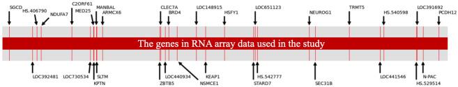 https://cdn.ncbi.nlm.nih.gov/pmc/blobs/1332/8423259/812cc225c4db/pone.0256648.g005.jpg