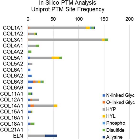 https://cdn.ncbi.nlm.nih.gov/pmc/blobs/1332/9685993/337f543f3f22/fcvm-09-1024049-g002.jpg