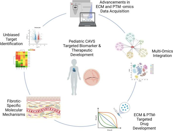 https://cdn.ncbi.nlm.nih.gov/pmc/blobs/1332/9685993/af44720897d0/fcvm-09-1024049-g005.jpg