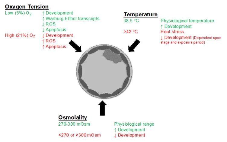 https://cdn.ncbi.nlm.nih.gov/pmc/blobs/1333/8535139/8421e0342f21/cells-10-02770-g002.jpg