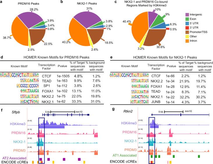 https://cdn.ncbi.nlm.nih.gov/pmc/blobs/1334/11405758/686375fb9d8b/41467_2024_52154_Fig6_HTML.jpg