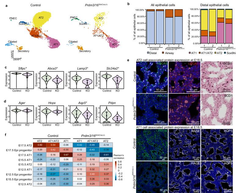 https://cdn.ncbi.nlm.nih.gov/pmc/blobs/1334/11405758/e1a5badb6fbb/41467_2024_52154_Fig2_HTML.jpg
