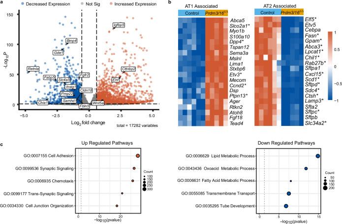 https://cdn.ncbi.nlm.nih.gov/pmc/blobs/1334/11405758/e885571a21f7/41467_2024_52154_Fig3_HTML.jpg