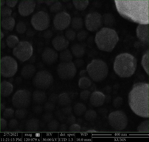 https://cdn.ncbi.nlm.nih.gov/pmc/blobs/1334/8684820/73f43c0278d9/BMRI2021-4603545.004.jpg