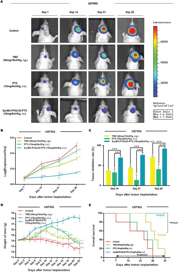 https://cdn.ncbi.nlm.nih.gov/pmc/blobs/1335/7856885/5c97d215a543/ADVS-8-2001960-g006.jpg