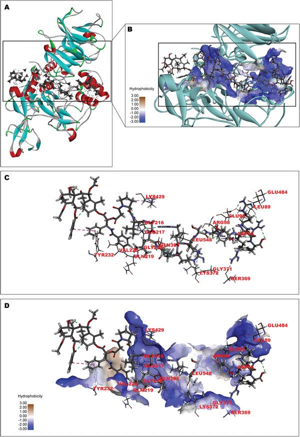 https://cdn.ncbi.nlm.nih.gov/pmc/blobs/1335/7856885/daca17df2f23/ADVS-8-2001960-g001.jpg